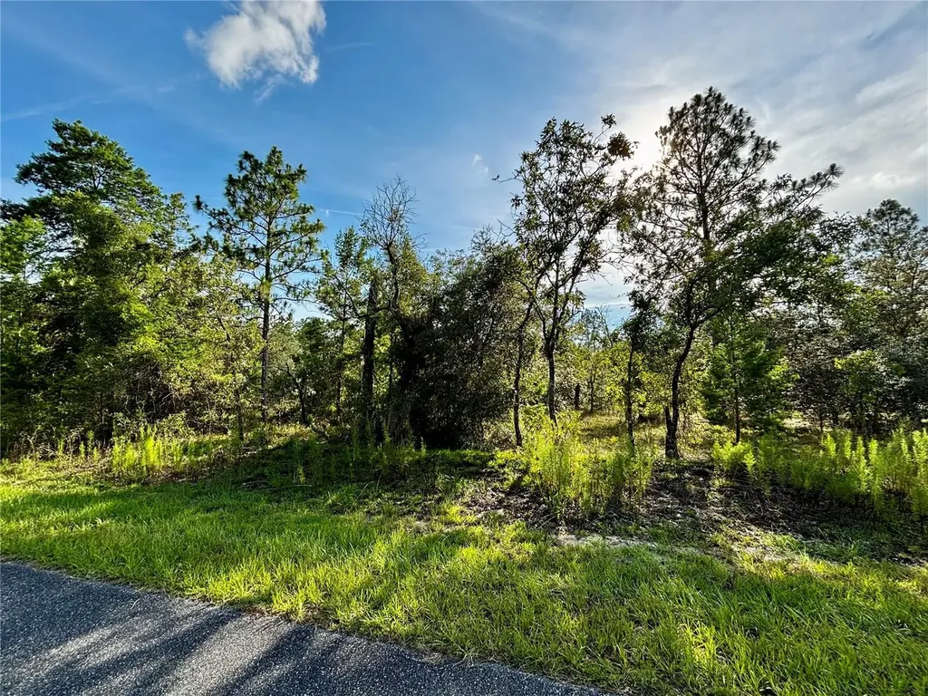 Lot 24 SE 136 Terrace Dunnellon FL 34431