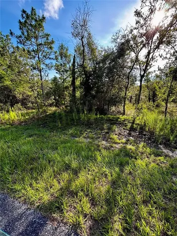 Lot 24 SE 136 Terrace Dunnellon FL 34431