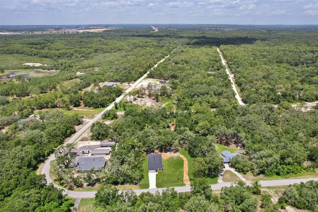 33433 Loop Court Webster FL 33597