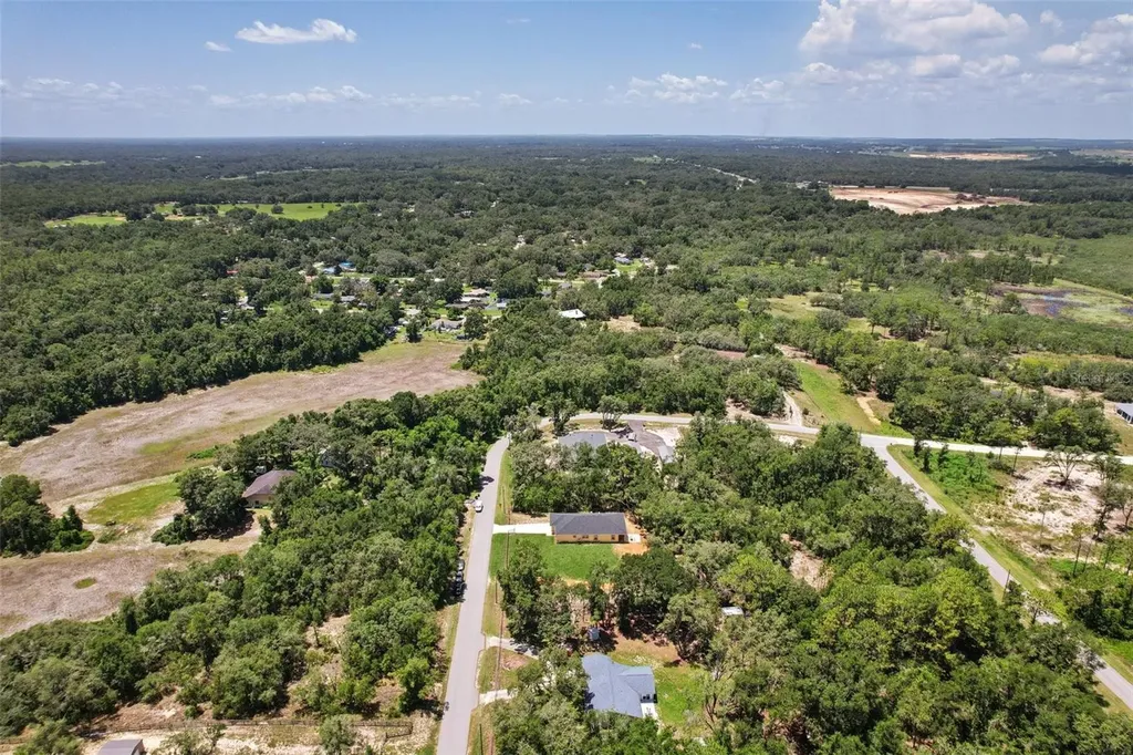 33433 Loop Court Webster FL 33597