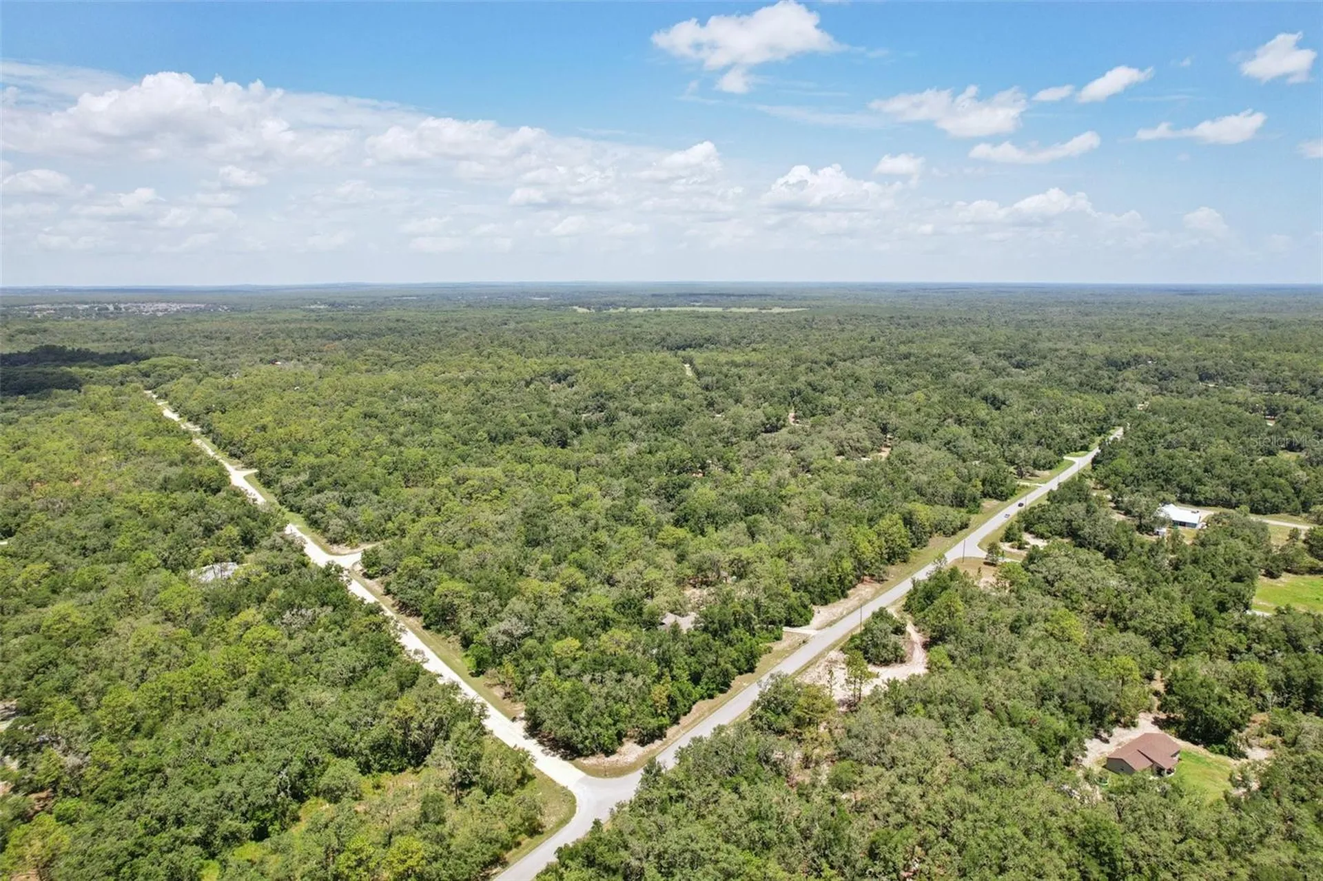 33433 Loop Court Webster FL 33597