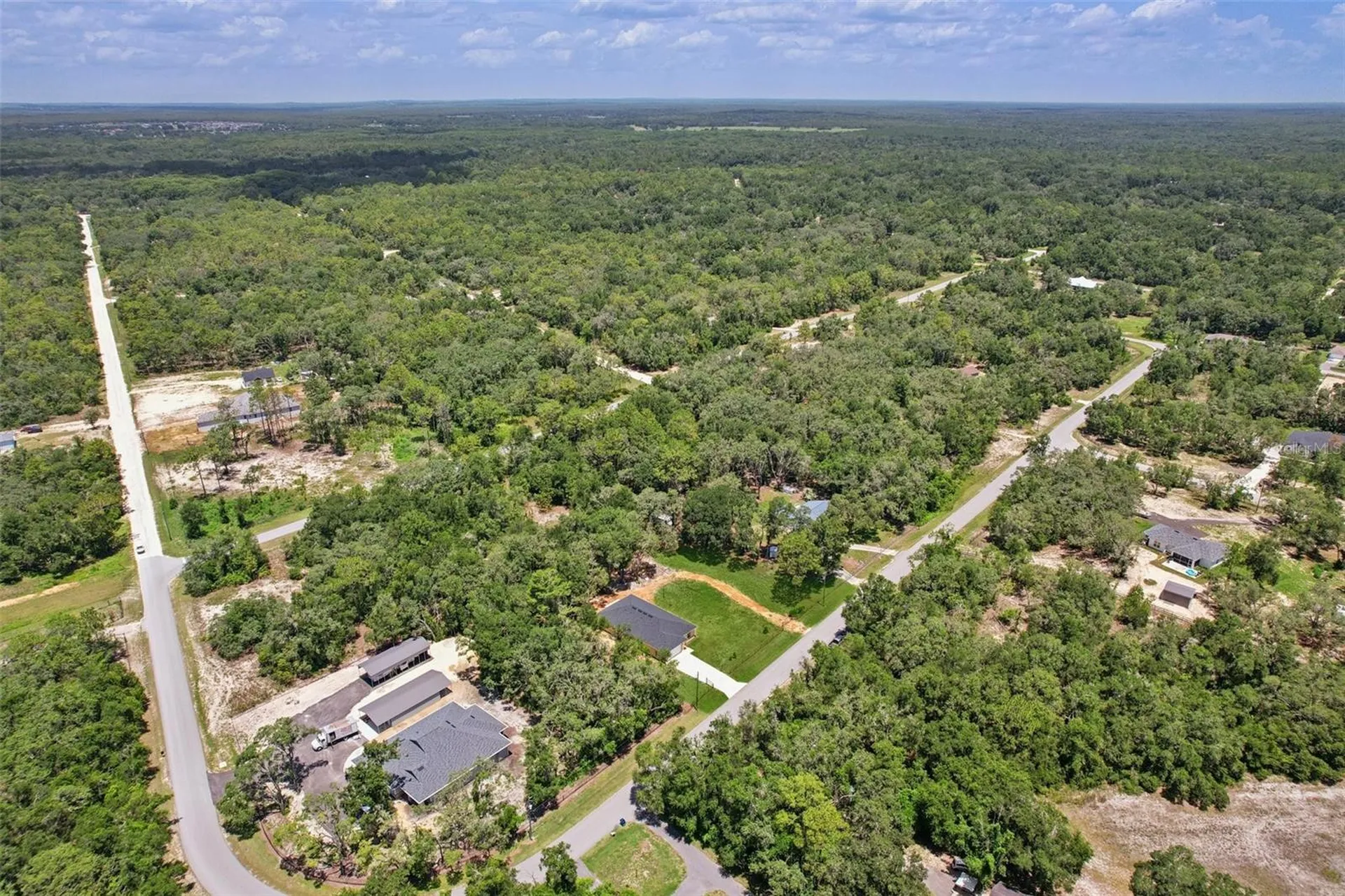 33433 Loop Court Webster FL 33597