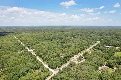 33433 Loop Court Webster FL 33597