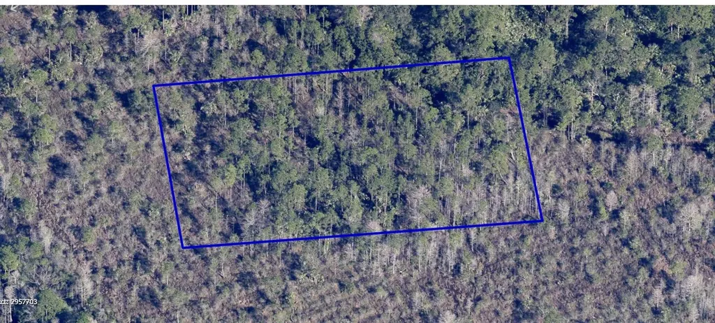 No Name Grant FL 32949