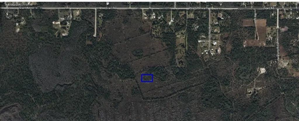 No Name Grant FL 32949