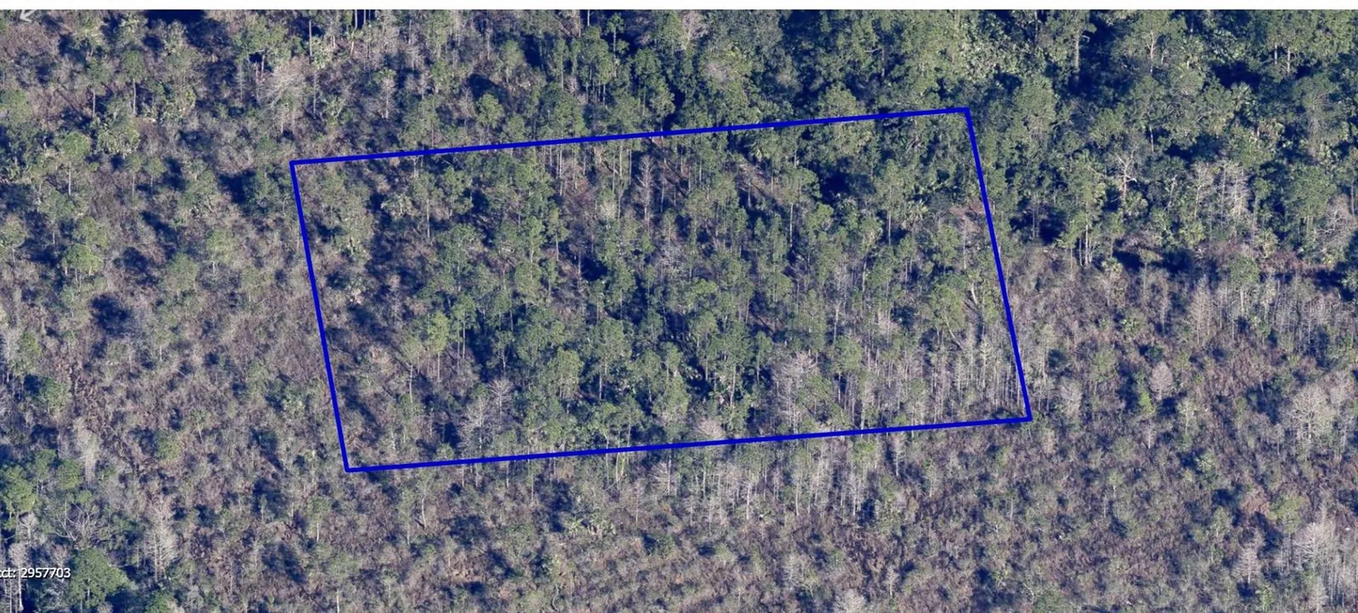 No Name Grant FL 32949
