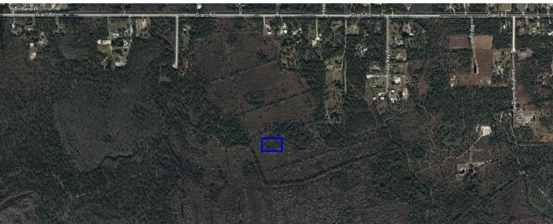 No Name Grant FL 32949