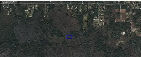 No Name Grant FL 32949