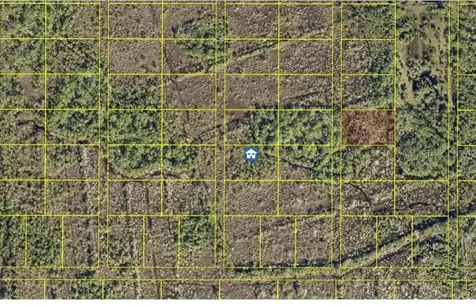 No Name Grant FL 32949