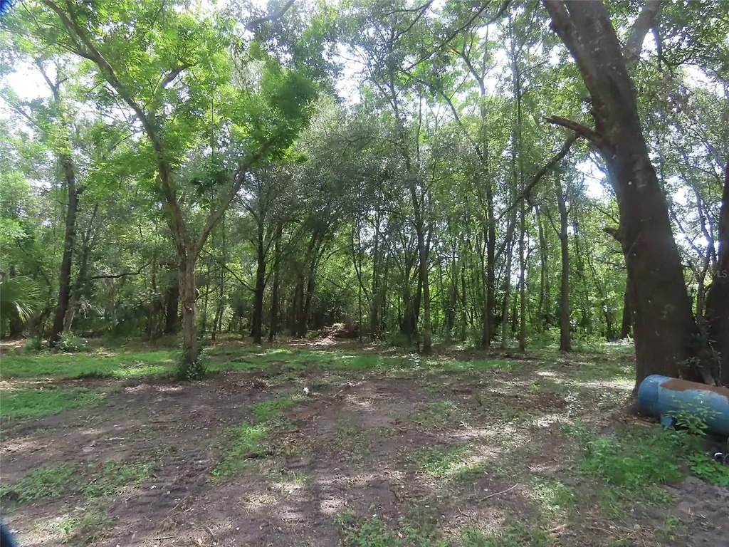 32944 County Road 437 Sorrento FL 32776