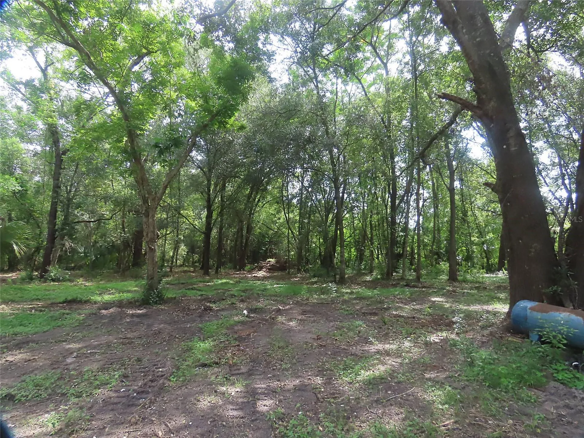 32944 County Road 437 Sorrento FL 32776