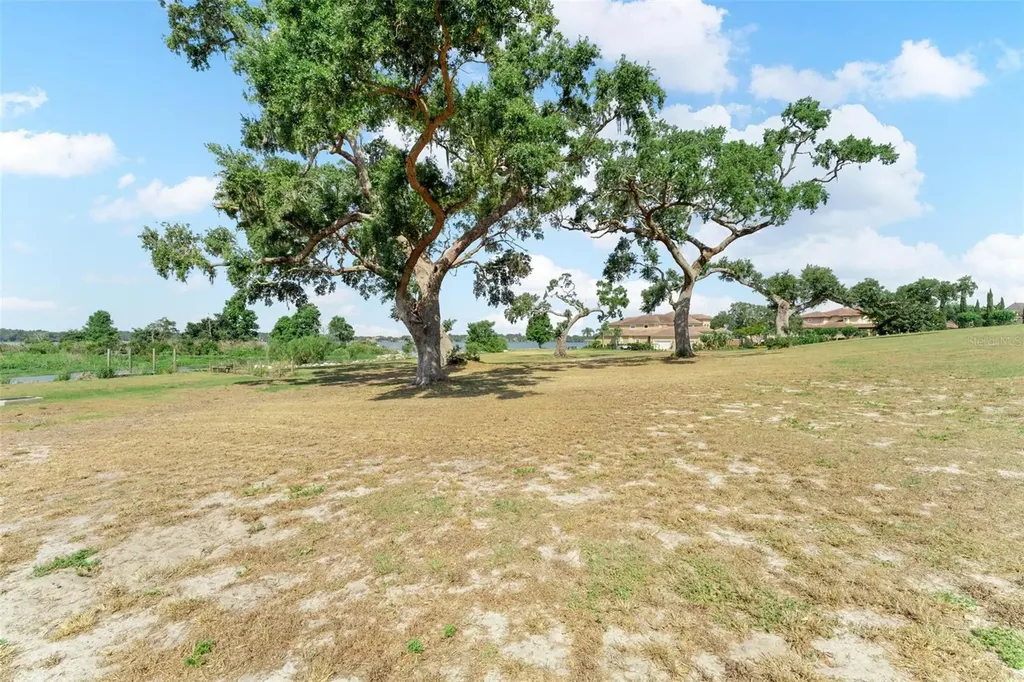 Lot 29 Stonelake Ranch Boulevard Thonotosassa FL 33592