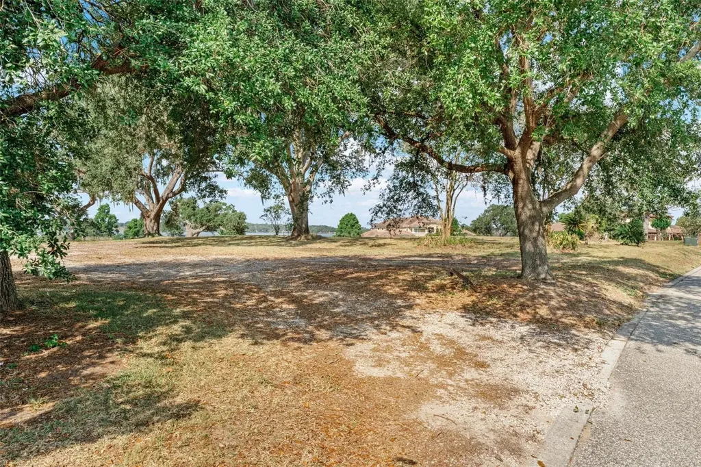 Lot 29 Stonelake Ranch Boulevard Thonotosassa FL 33592