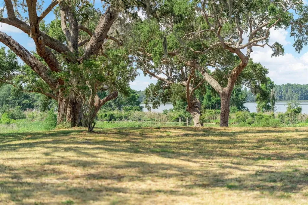 Lot 29 Stonelake Ranch Boulevard Thonotosassa FL 33592