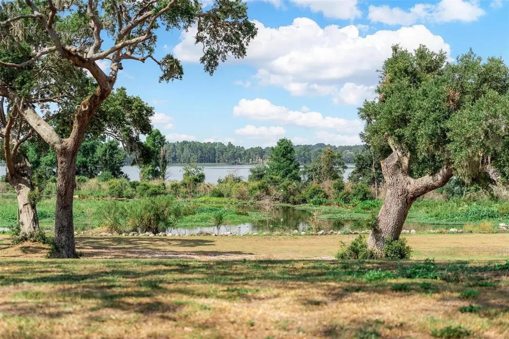 Lot 29 Stonelake Ranch Boulevard Thonotosassa FL 33592