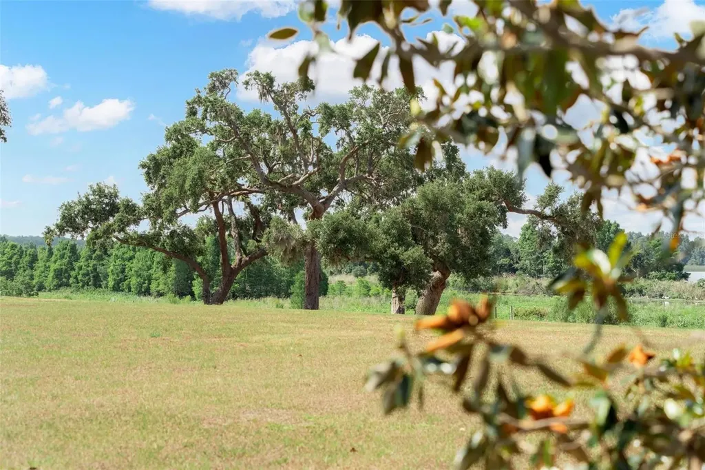 Lot 29 Stonelake Ranch Boulevard Thonotosassa FL 33592