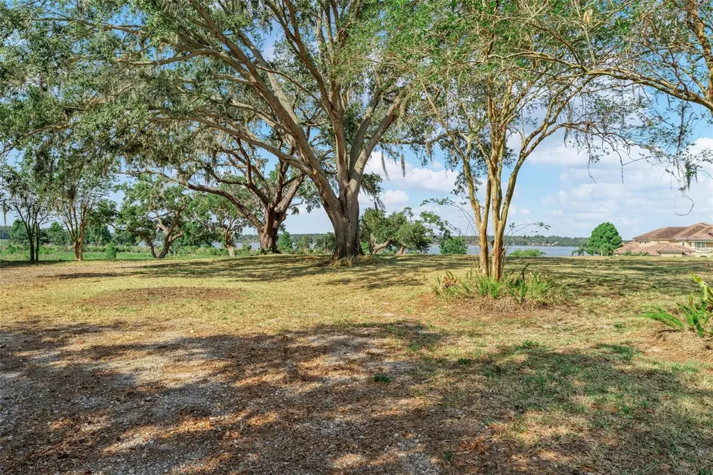Lot 29 Stonelake Ranch Boulevard Thonotosassa FL 33592