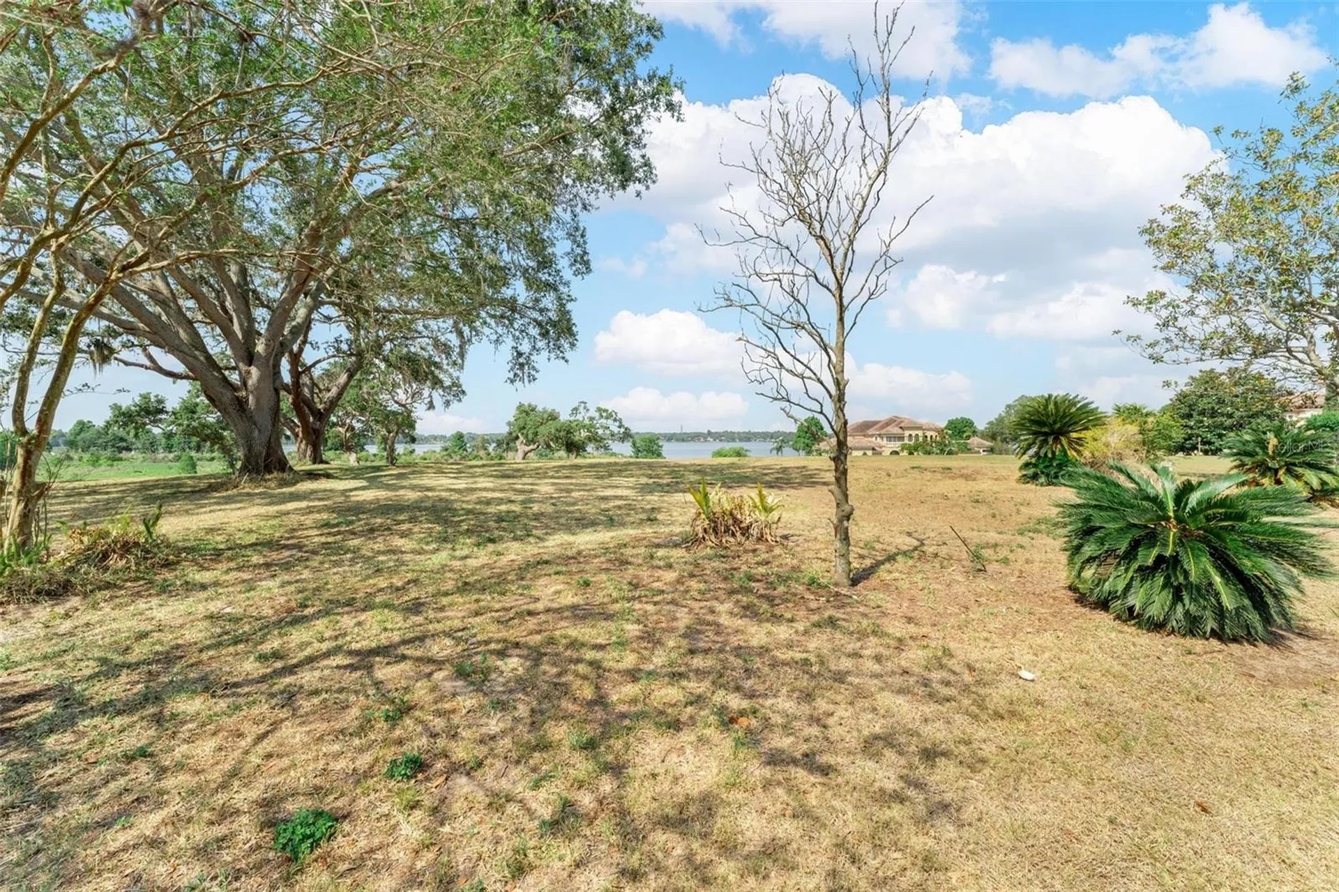 Lot 29 Stonelake Ranch Boulevard Thonotosassa FL 33592