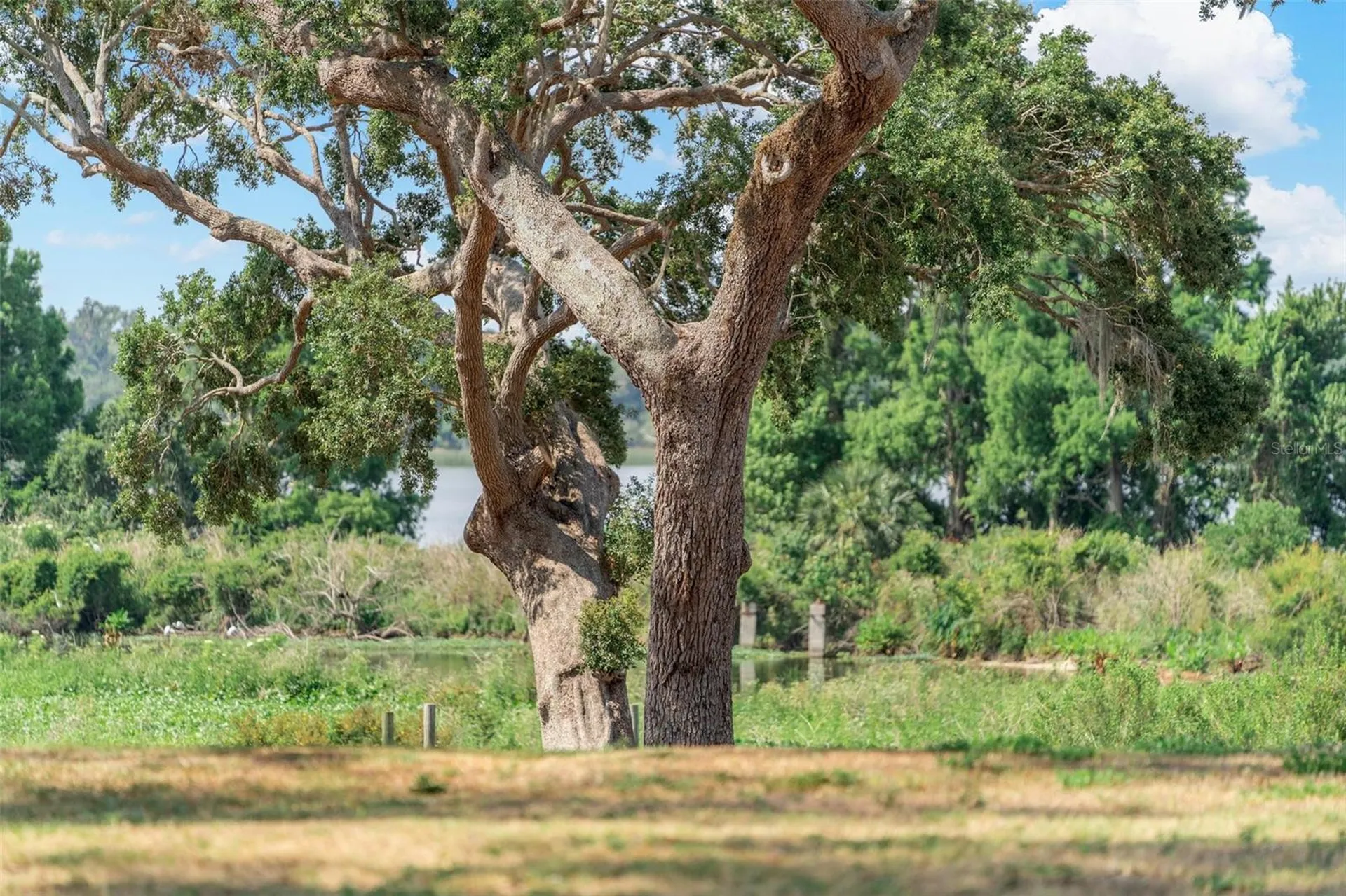 Lot 29 Stonelake Ranch Boulevard Thonotosassa FL 33592