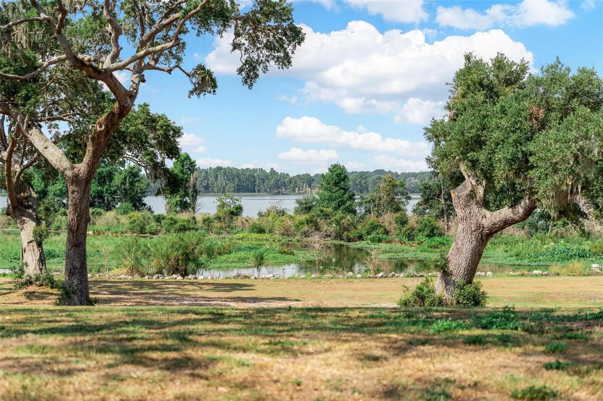 Lot 29 Stonelake Ranch Boulevard Thonotosassa FL 33592