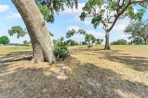 Lot 29 Stonelake Ranch Boulevard Thonotosassa FL 33592