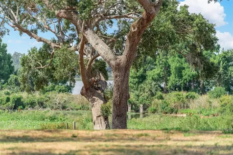 Lot 29 Stonelake Ranch Boulevard Thonotosassa FL 33592