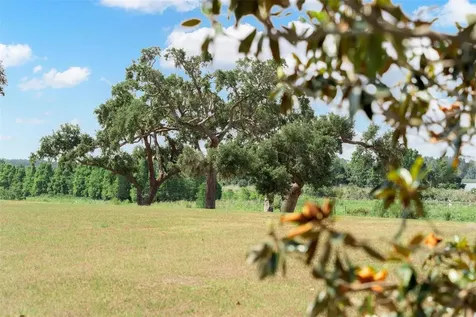 Lot 29 Stonelake Ranch Boulevard Thonotosassa FL 33592