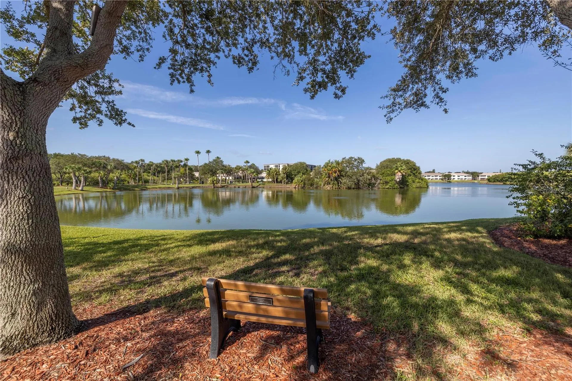 6399 Shoreline Drive St Petersburg FL 33708