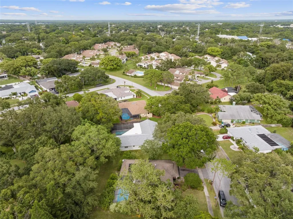 155 Woodcutter Lane Palm Harbor FL 34683