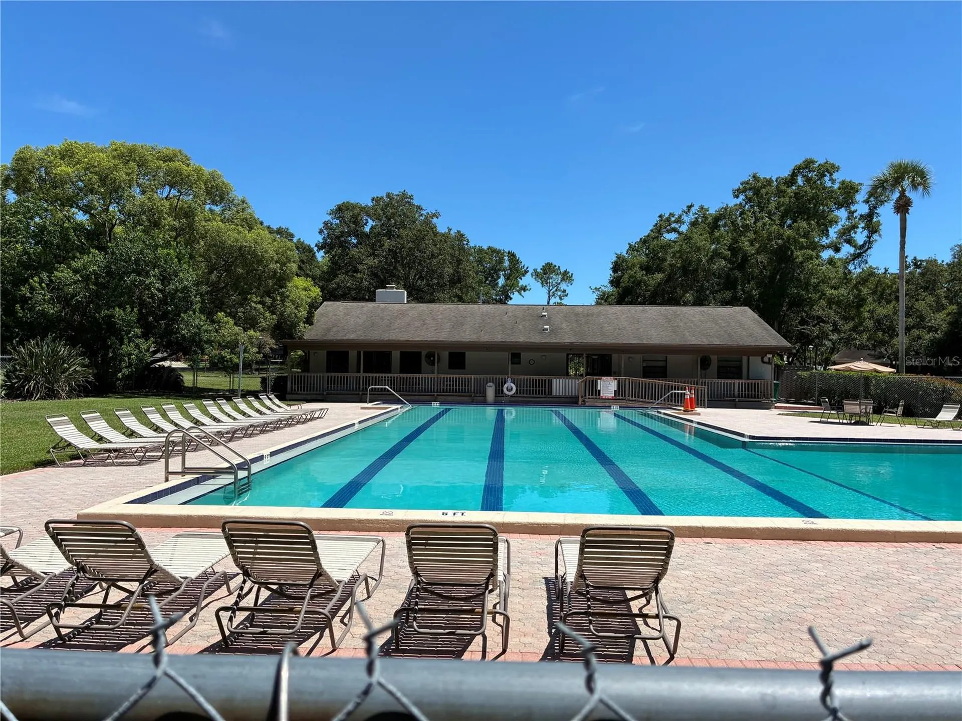 155 Woodcutter Lane Palm Harbor FL 34683