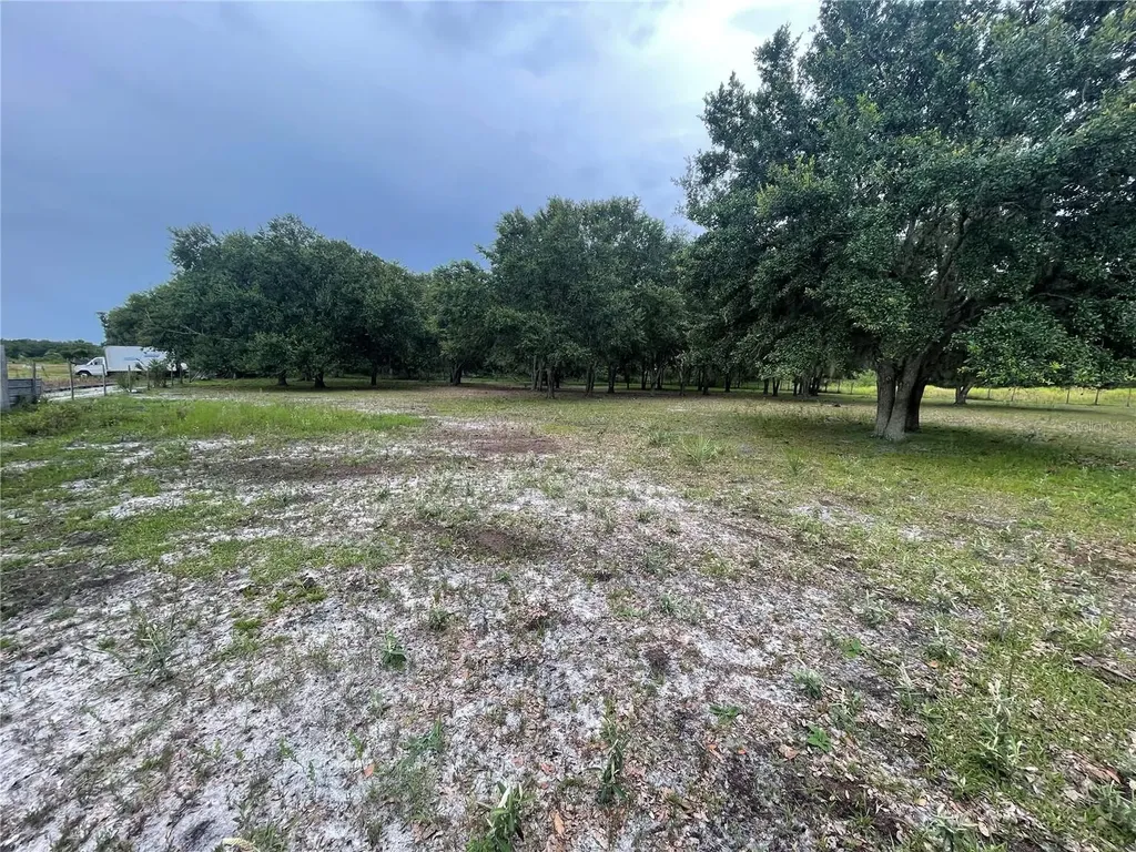 5187 Deer Run Drive Zolfo Springs FL 33890