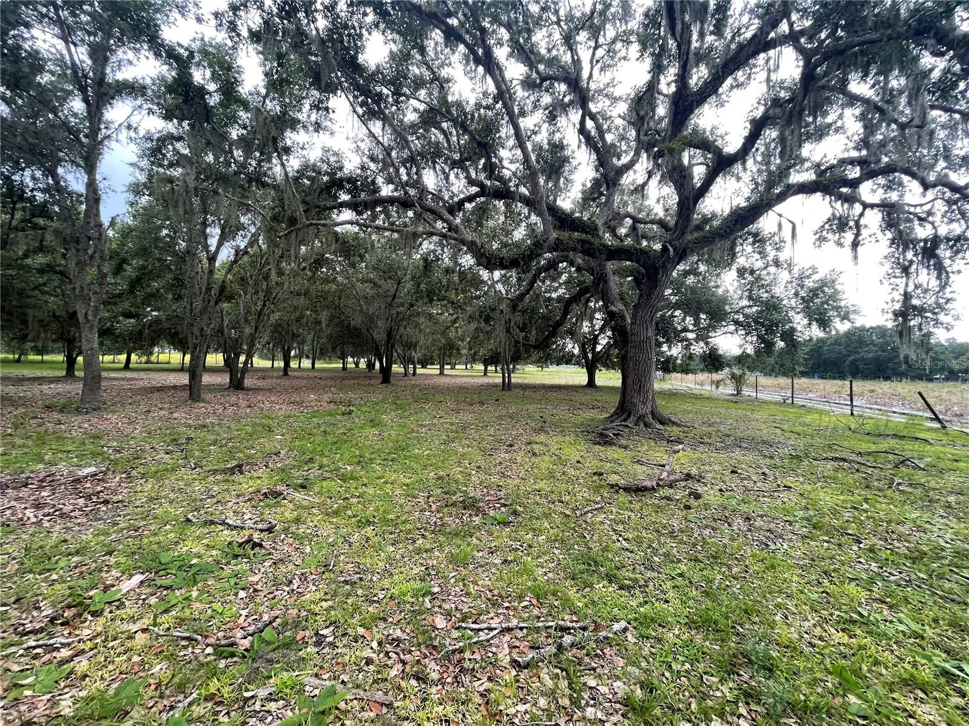 5187 Deer Run Drive Zolfo Springs FL 33890