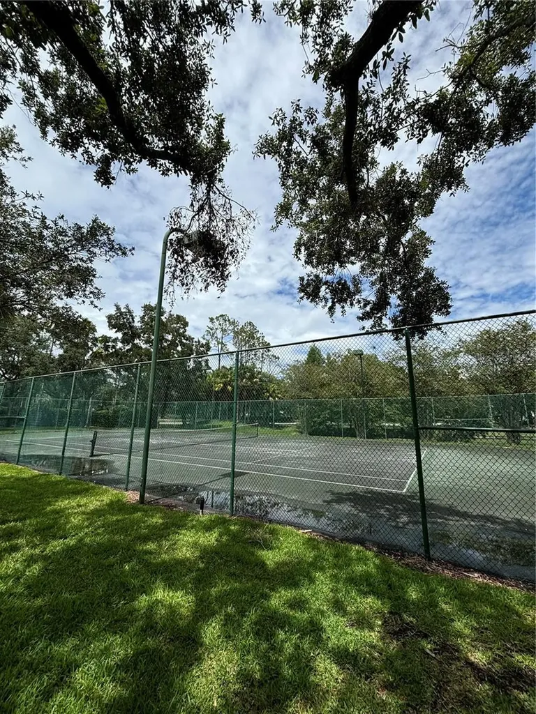 17110 Carrington Park Drive Tampa FL 33647