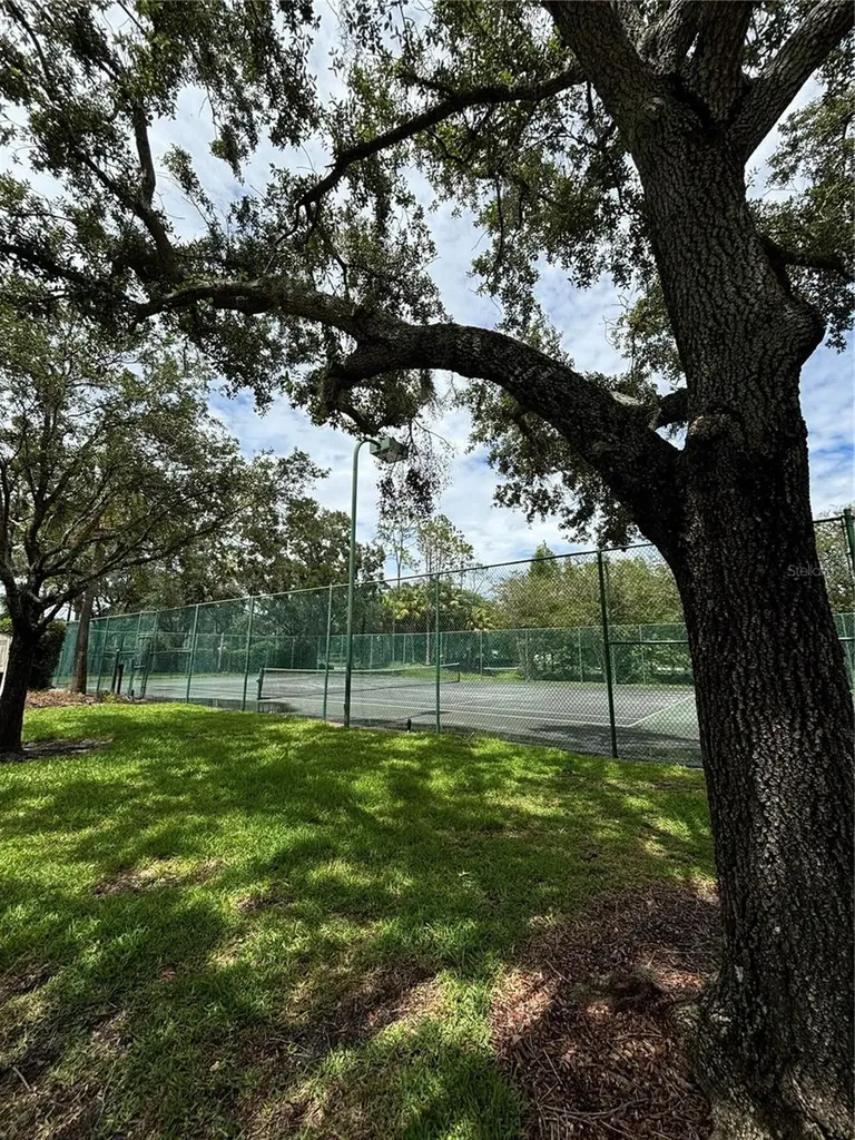 17110 Carrington Park Drive Tampa FL 33647