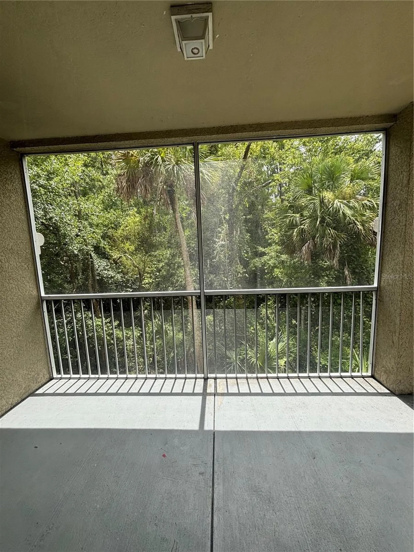 17110 Carrington Park Drive Tampa FL 33647