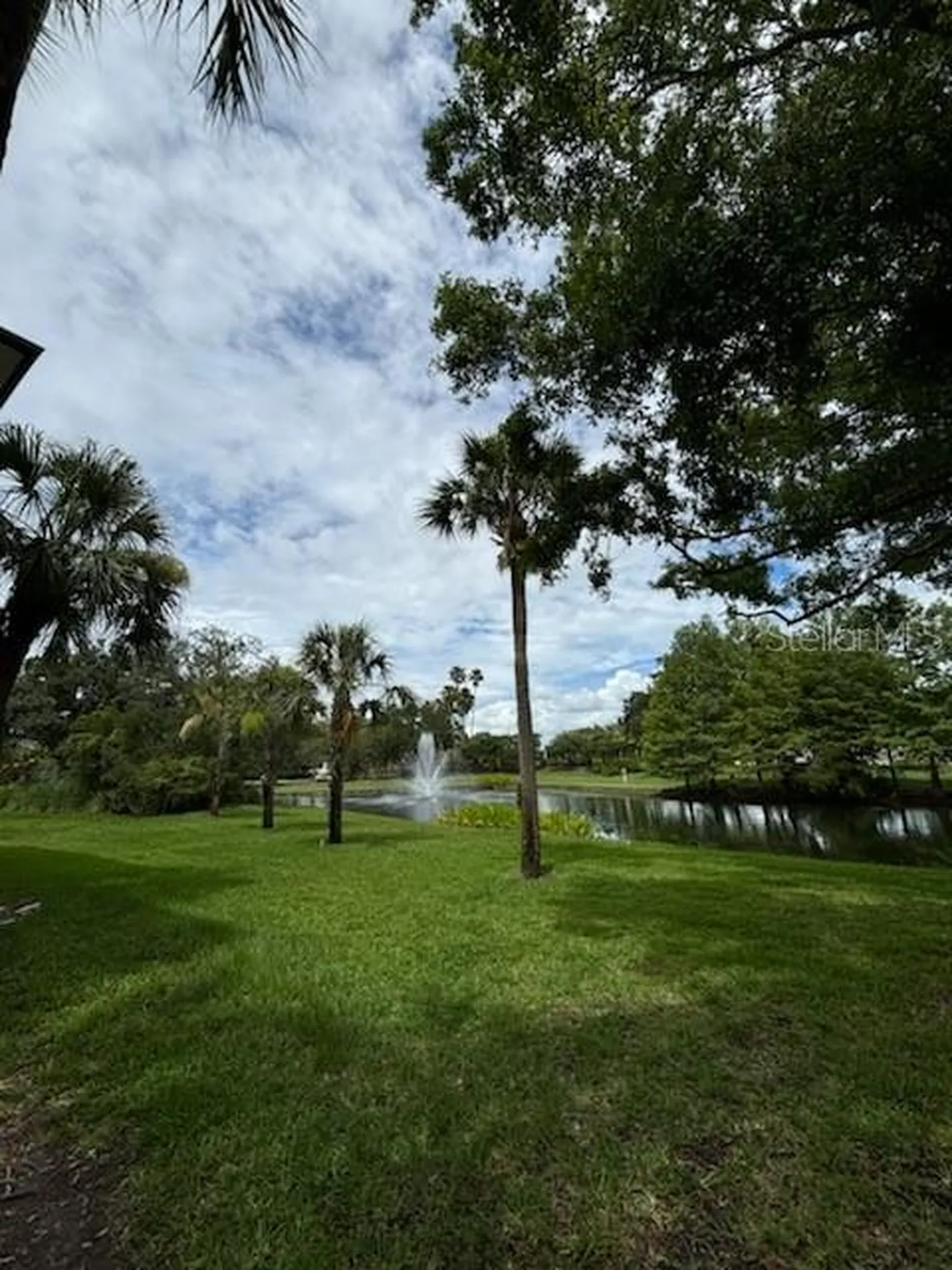 17110 Carrington Park Drive Tampa FL 33647