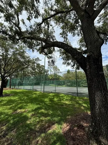 17110 Carrington Park Drive Tampa FL 33647