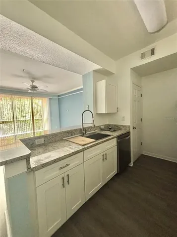 17110 Carrington Park Drive Tampa FL 33647