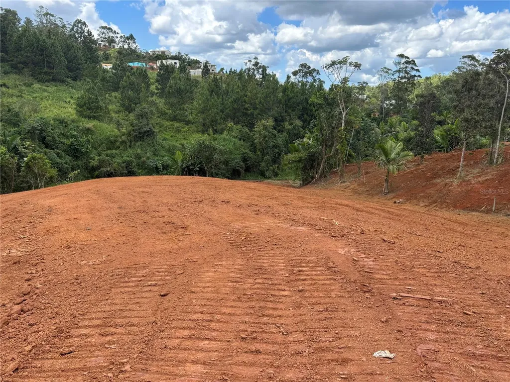 Carr 569 Km 2.7 Int Bo. Sabana Orocovis PR 00720