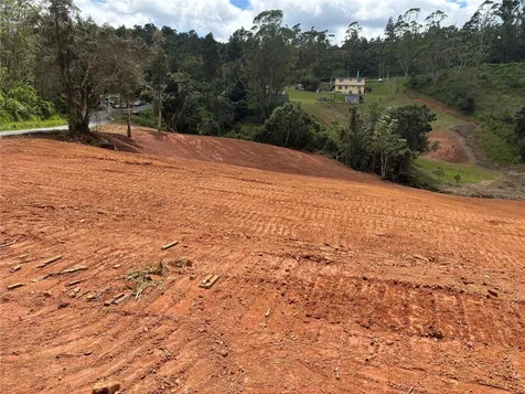 Carr 569 Km 2.7 Int Bo. Sabana Orocovis PR 00720
