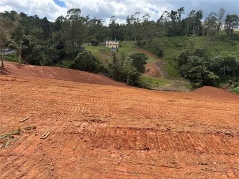 Carr 569 Km 2.7 Int Bo. Sabana Orocovis PR 00720