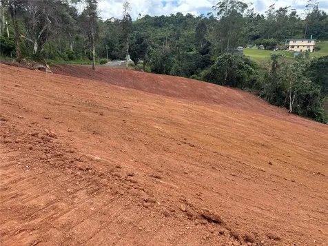 Carr 569 Km 2.7 Int Bo. Sabana Orocovis PR 00720