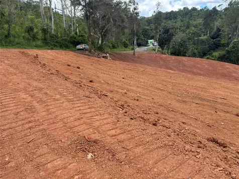 Carr 569 Km 2.7 Int Bo. Sabana Orocovis PR 00720