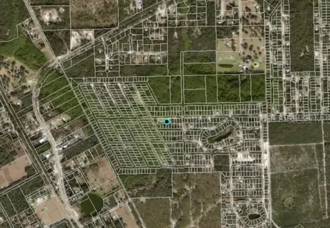 711 Hickory Nut Trail Satsuma FL 32189