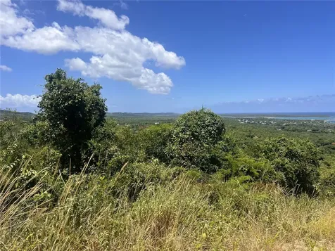 La Hueca Vistas Lot 1 Vieques PR 00765