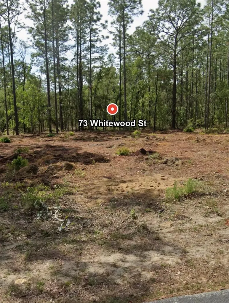 73 Whitewood Street Homosassa FL 34446