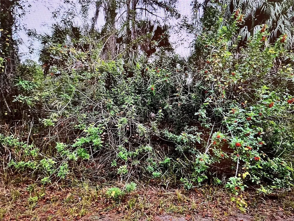 Lot 24 Campbell Street North Port FL 34288