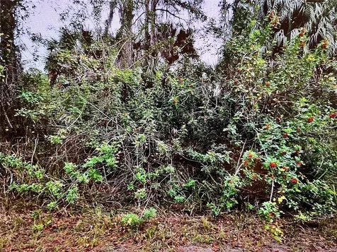 Lot 24 Campbell Street North Port FL 34288