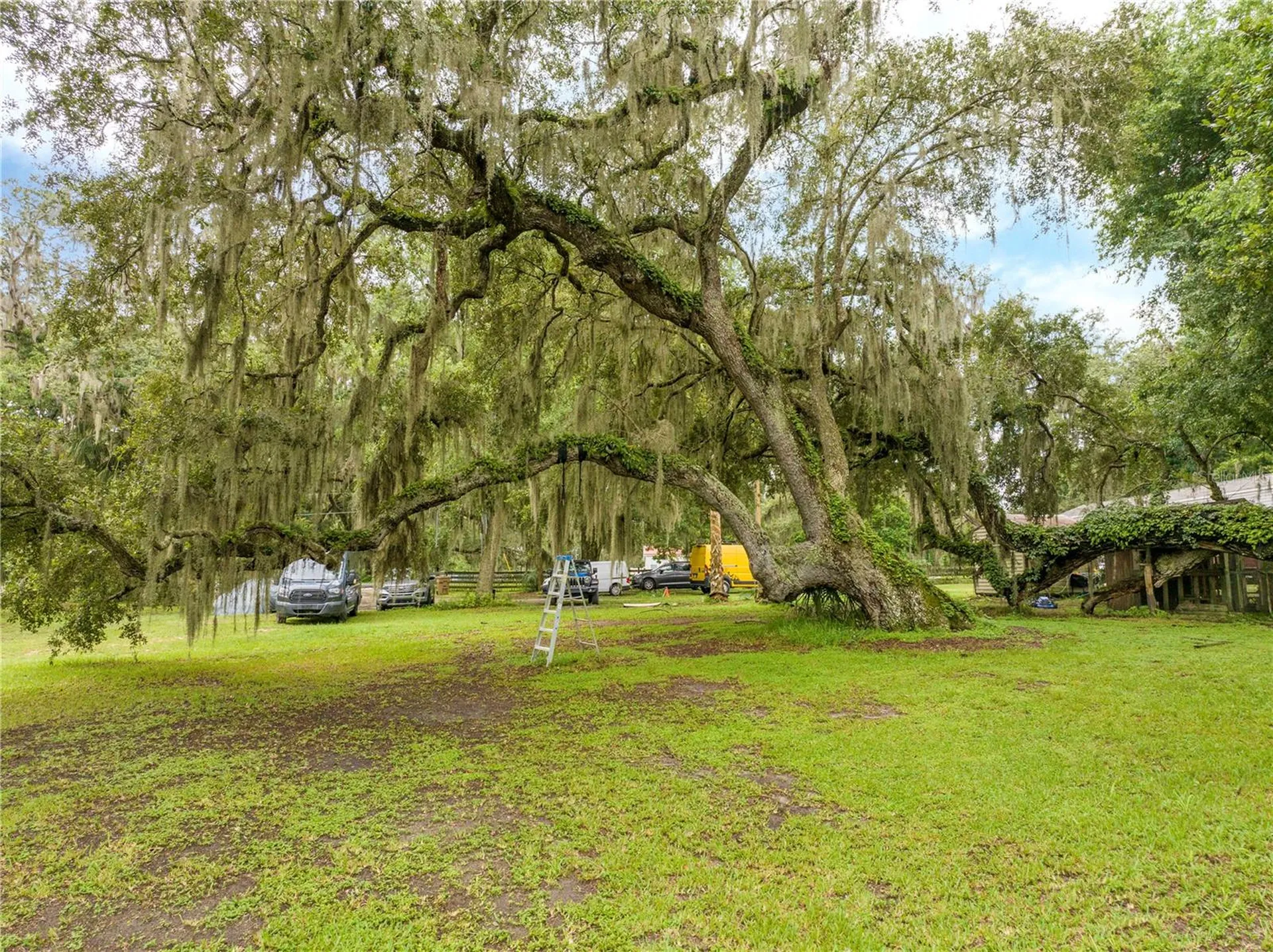 36720 Emeralda Island Road Leesburg FL 34788