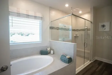 31635 Elkridge Drive Sorrento FL 32776